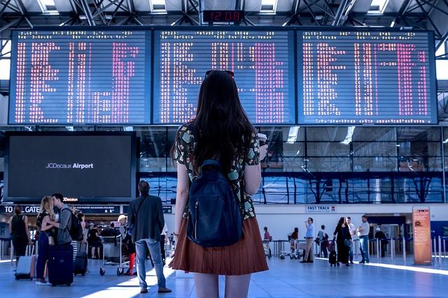 Ultimate Tips for Stress-Free Travel with Your Furry Friends