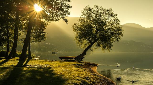 landscape, summer, sunrise, lighting mood, sun, nature, lake, scenic, landscapes, carinthia, tree, riverbank, water, summer, summer, summer, sunrise, sunrise, sunrise, sunrise, sun, sun, lake, lake, tree, tree, tree, tree, tree